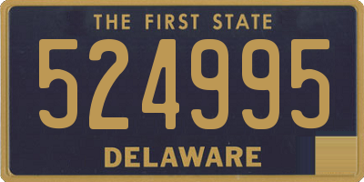 DE license plate 524995