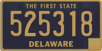 DE license plate 525318