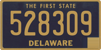 DE license plate 528309