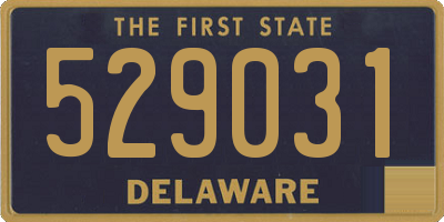 DE license plate 529031