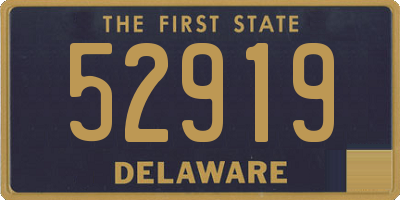 DE license plate 52919