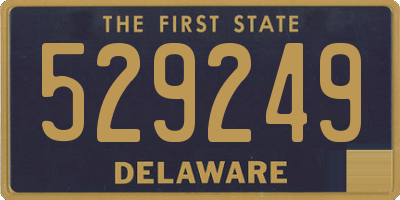 DE license plate 529249