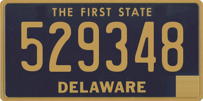 DE license plate 529348