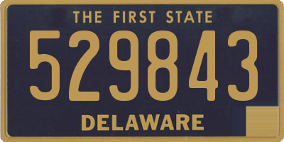 DE license plate 529843