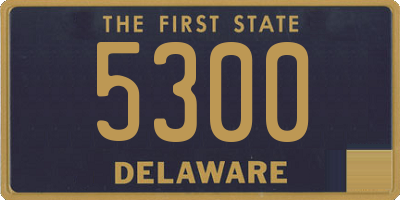 DE license plate 5300