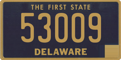 DE license plate 53009