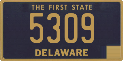 DE license plate 5309