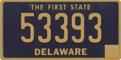 DE license plate 53393