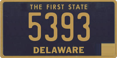 DE license plate 5393