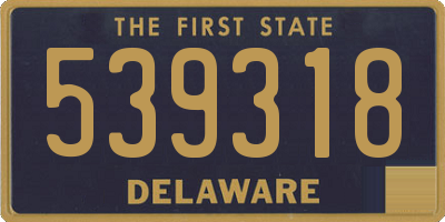 DE license plate 539318