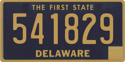 DE license plate 541829