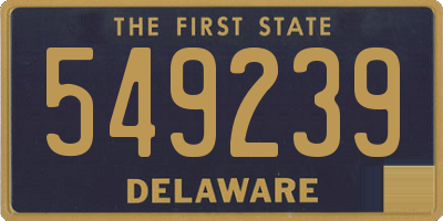 DE license plate 549239