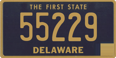 DE license plate 55229