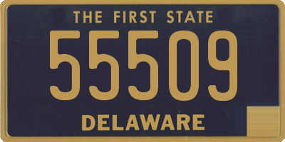 DE license plate 55509