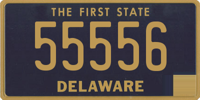 DE license plate 55556