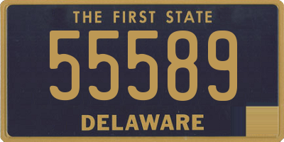 DE license plate 55589