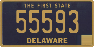 DE license plate 55593