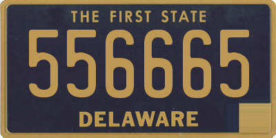 DE license plate 556665