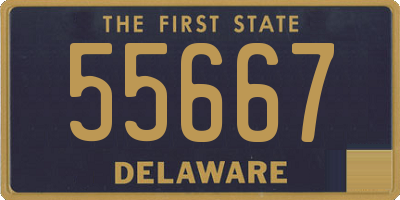 DE license plate 55667