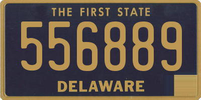 DE license plate 556889