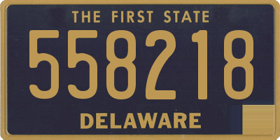 DE license plate 558218