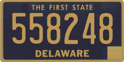 DE license plate 558248