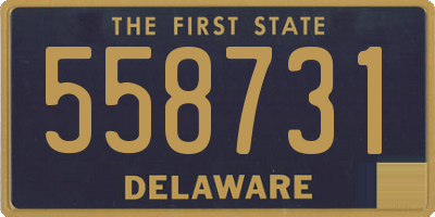 DE license plate 558731