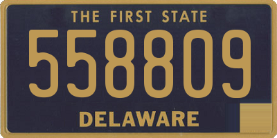 DE license plate 558809