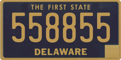 DE license plate 558855