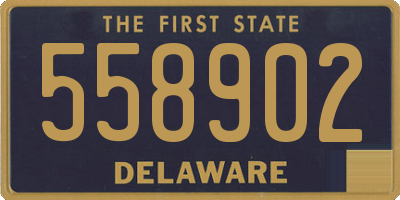 DE license plate 558902