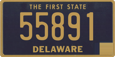 DE license plate 55891