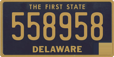 DE license plate 558958