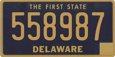 DE license plate 558987