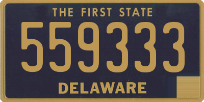 DE license plate 559333
