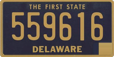 DE license plate 559616