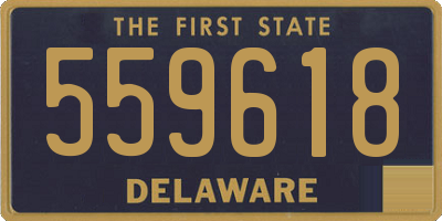 DE license plate 559618