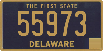 DE license plate 55973
