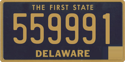 DE license plate 559991