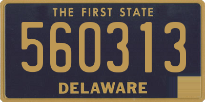 DE license plate 560313