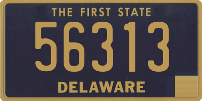 DE license plate 56313