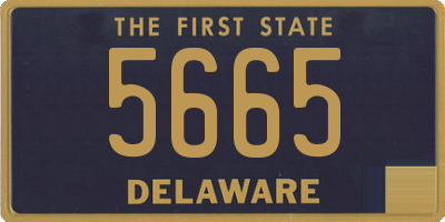 DE license plate 5665