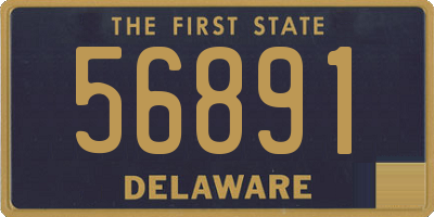 DE license plate 56891