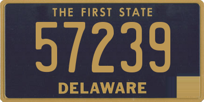 DE license plate 57239