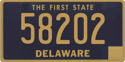 DE license plate 58202