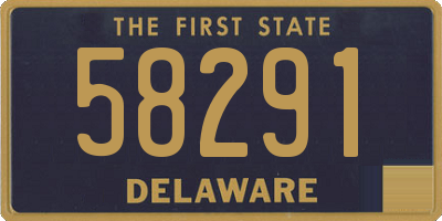 DE license plate 58291