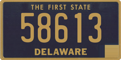 DE license plate 58613