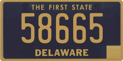 DE license plate 58665