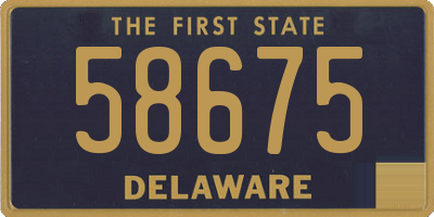 DE license plate 58675