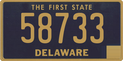 DE license plate 58733