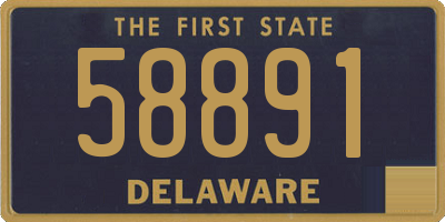 DE license plate 58891